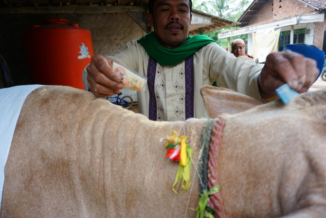 tradisi merias hewan kurban di banyuwangi