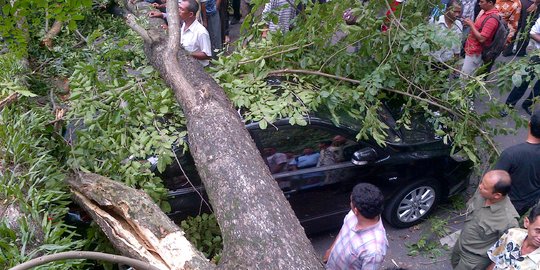 Pohon Tumbang Timpa Mobil Dan Motor Di Jaktim Tiga Orang Terluka Dibawa Ke Rscm 4093