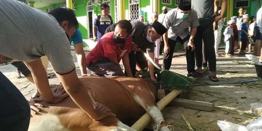 Wakil Wali Kota Bengkulu Tinjau Langsung Pemotongan Hewan Kurban