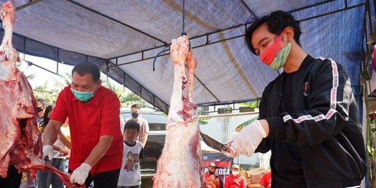 Momen Idul Adha, Gibran Keliling Temui Pengurus PDIP Solo