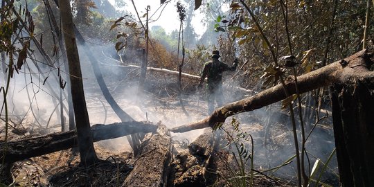 Polda Riau Tangkap 61 Tersangka Karhutla Sejak Januari 2020