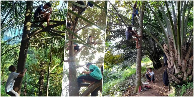 siswa di simalungun belajar online di pohon