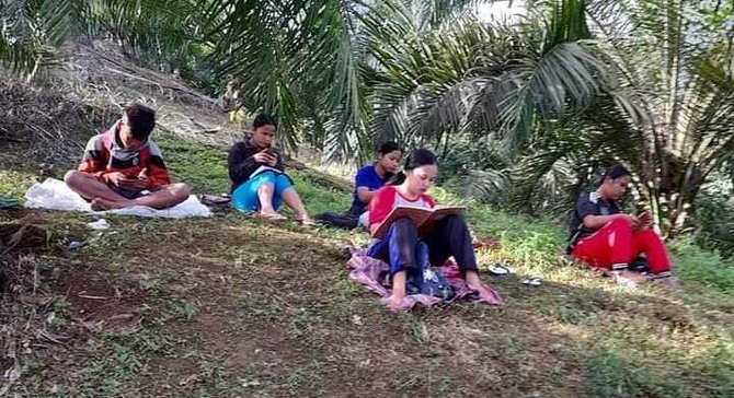 siswa di simalungun belajar online di pohon