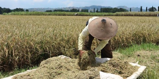 Begini Cara Petani Dapat Tarif PPN 1 Persen