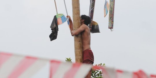 HUT RI dalam Suasana Pandemi, Warga Bengkulu Dilarang Gelar Lomba Panjat Pinang