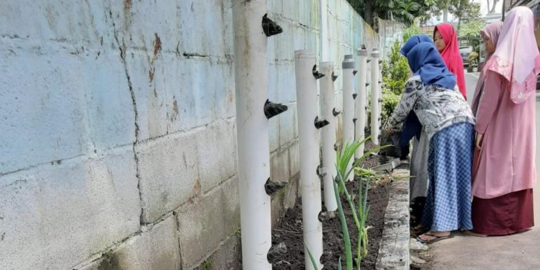 Memulai Urban Farming dari Sampah Dapur