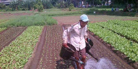 Dorong Pertumbuhan Ekonomi, Pemerintah Diminta Akselerasi Desa