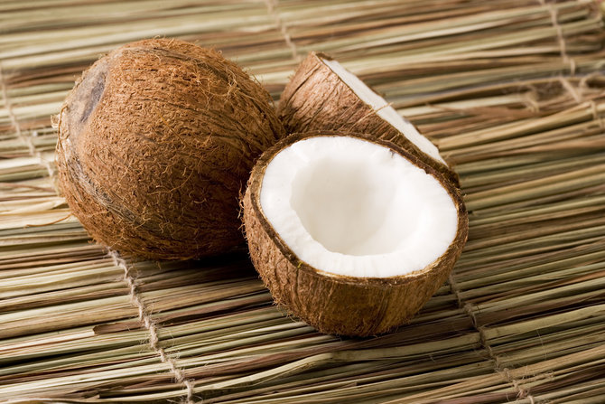 ilustrasi kelapa