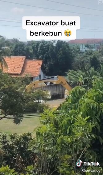 pria super tajir pakai ekskavator buat rapikan kebun