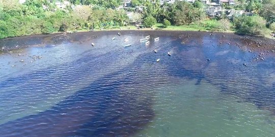 Tumpahan Ribuan Ton Minyak Cemari Laut Mauritus