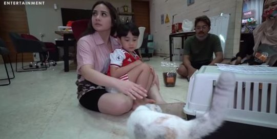 Nagita Sampai Pelototi Pacar Lala Gara-gara Nyeletuk soal Obat buat Kucing