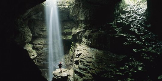 5 Fakta Menarik Gua Jomblang, di Dalamnya Terdapat Hutan Purba