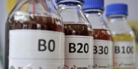 belum memiliki peta jalan pengembangan biodiesel