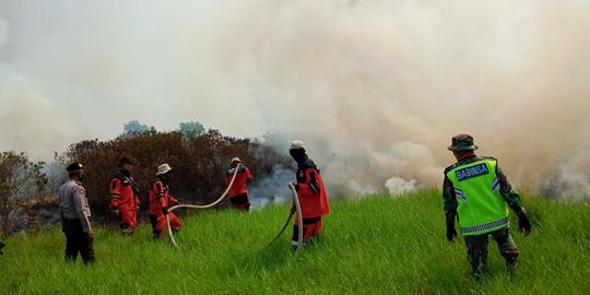 4 Hektare Lahan Dekat Tol Palindra Terbakar, Tiupan Angin Buat Api Cepat Menjalar