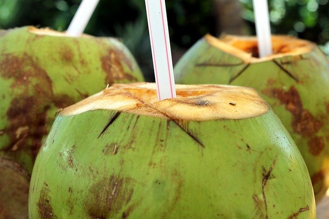 kelapa hijau