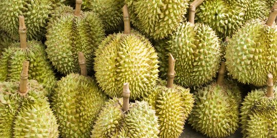 CEK FAKTA: Hoaks Makan Durian Ditambah Minuman Bersoda Berakibat Kematian