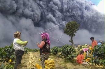 potret warga panen sayuran saat erupsi gunung sinabung