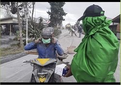 potret warga panen sayuran saat erupsi gunung sinabung