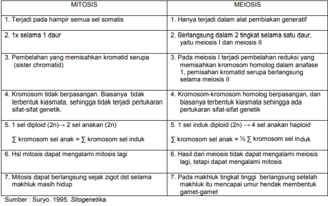 tabel perbedaan mitosis dan meiosis