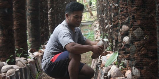 Indonesia Berpotensi Menjadi Pengekspor Vanili Terbesar di Dunia