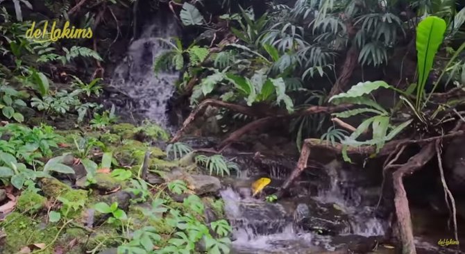 potret rumah orang indonesia di depok sejuk banget ada hutan dan air terjun