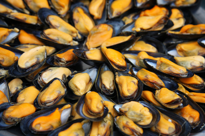 kerang