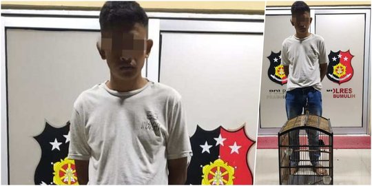 Curi Burung Tetangga Senilai Rp3 Juta, Harianto Ditangkap Polisi