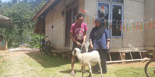 Cerita Pilu dari Garut, Yeni Bayar Biaya Ganti kWh Rp 450.000 Pakai Anak Domba