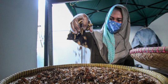 Kisah Inspiratif Nandaini, Produsen Jamu Rumahan Beromzet Puluhan Juta per Bulan