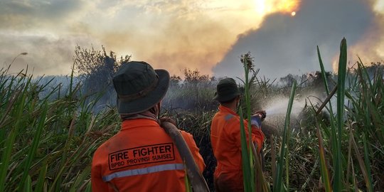 Tol Palindra Tertutup Asap Akibat Karhutla di Sumsel