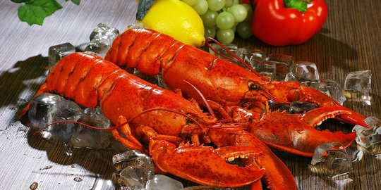 6 Manfaat Lobster Bagi Tubuh, Kaya Protein dan Bantu Atasi Anemia
