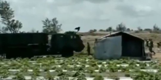 Dirusak Alat Berat, Begini Kondisi Ladang Melon Petani di Kebumen