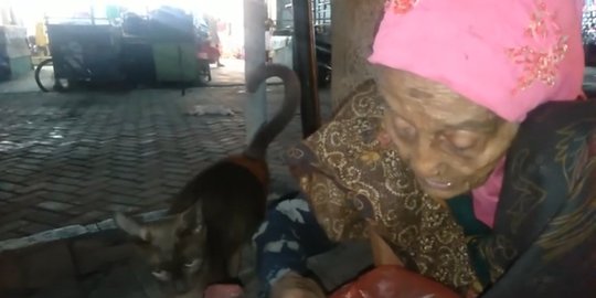 Nenek Ini Jualan Sayur hingga Tengah Malam, Rajin Beri Makan Kucing Jalanan