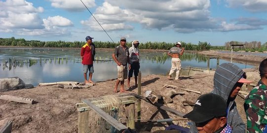 Penjaga Tambak di Kutai Kartanegara Hilang Diduga Diterkam Buaya