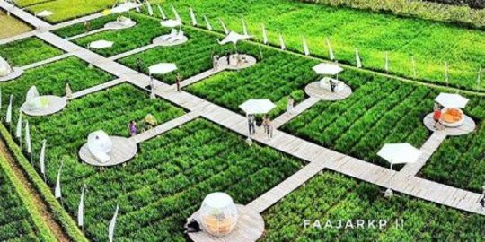 Viral di Medsos, Ini 4 Fakta Wisata Sawah Svargabumi Magelang