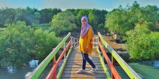 Terancam Punah, ini Pentingnya Keberadaan Mangrove Bagi Ekonomi Indonesia