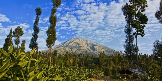 Gempa Bumi Guncang Wilayah Dieng dan Sekitarnya, Ternyata Ini Penyebabnya