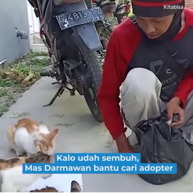 Pria Ini Beri Makan dan Rawat Kucing Jalanan Tiap Hari, Alasannya 