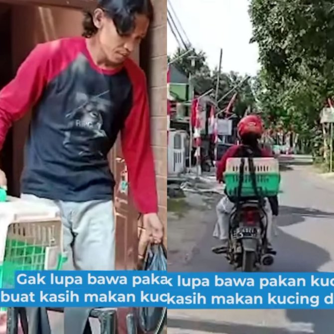 pria ini beri makan dan rawat kucing jalanan tiap hari alasannya bikin haru