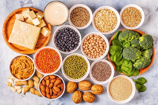 vegan protein