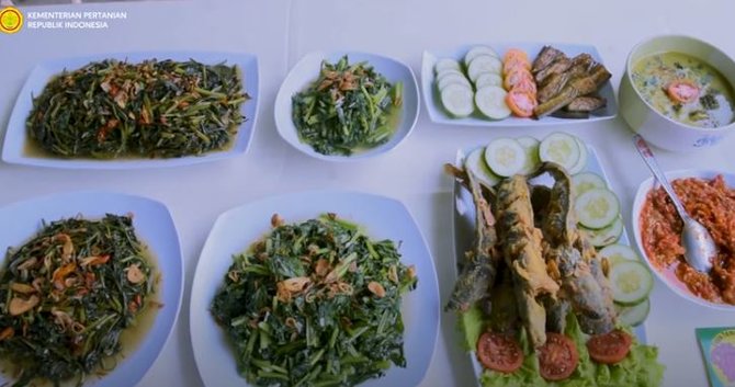 gang sempit diubah jadi kebun sayur