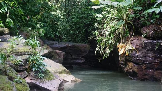 mengunjungi hutan sungai kerapu spot wisata baru yang eksotis di bukit lawang