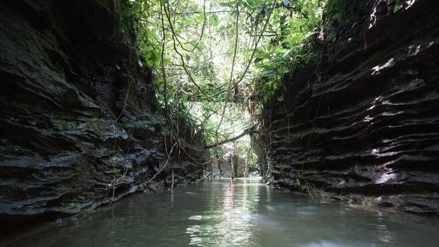 mengunjungi hutan sungai kerapu spot wisata baru yang eksotis di bukit lawang