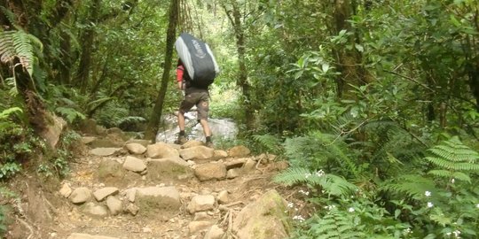Pendaki Gunung Gede-Pangrango Dibatasi 600 Orang Per Hari