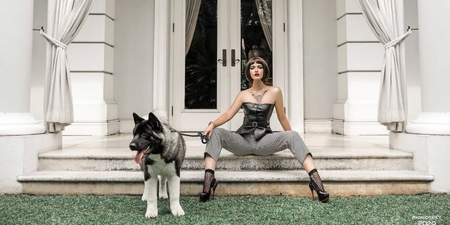 Potret Nia Ramadhani Dengan Anjing Mahal Bikin Heboh Harganya Bikin Gigit Jari Merdeka Com