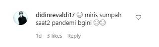 potret pilu raffi main pianika