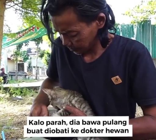 mas sugiyanto pahlawan kucing