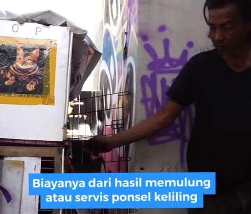 mas sugiyanto pahlawan kucing