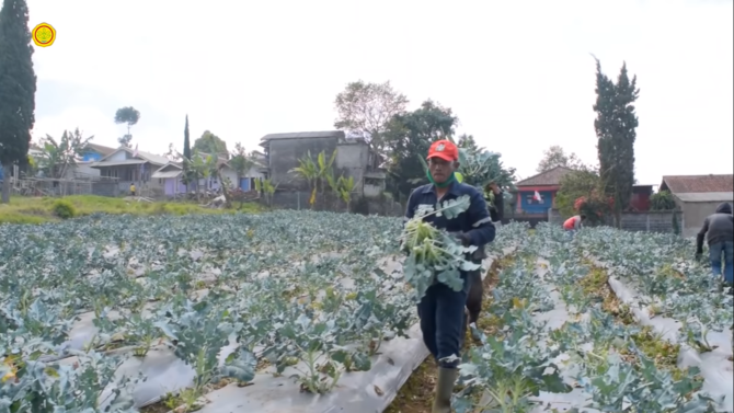 petani inspiratif bandung