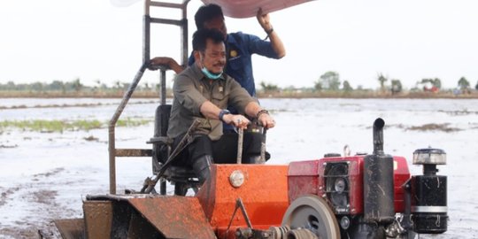 Mentan SYL Serius Garap Food Estate di Pulang Pisau Kalimantan Tengah